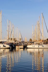 Sailboats in marina