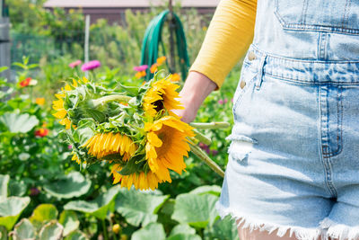 Close-up of woman holding yellow flowering plant