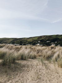 Scenic view of beach against sky