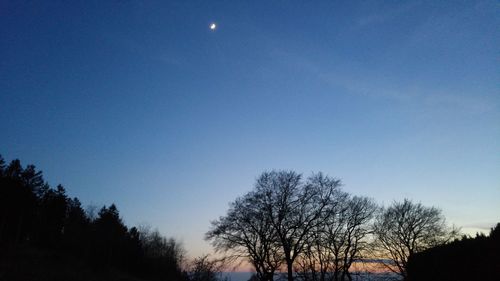 Low angle view of bare trees against blue sky