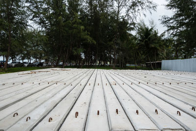 Empty benches on footpath by trees against sky