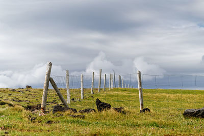 Fence on landscape against sky