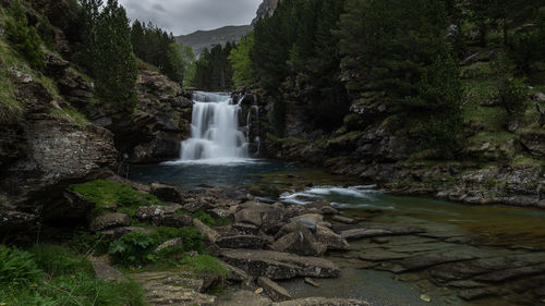 Scenic view of waterfall in forest