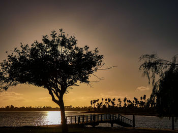 Silhouette tree by river against sky during sunset