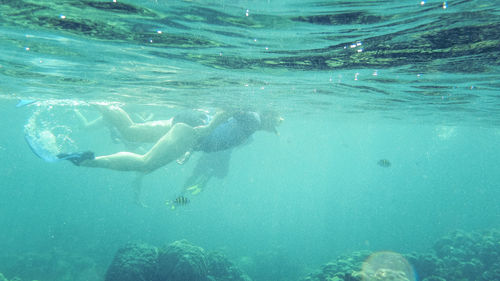 Man swimming in sea