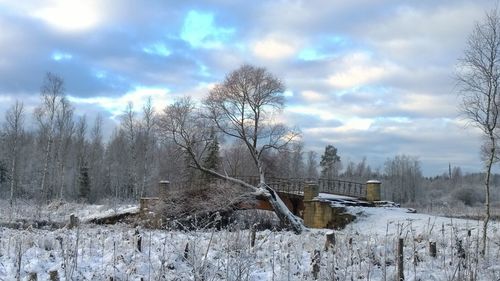 Bare trees on snow covered field against cloudy sky