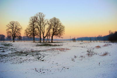 Bare trees on snow covered landscape against sky