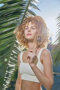 palm tree