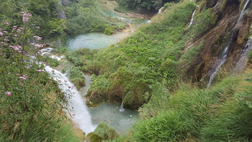 Scenic view of stream