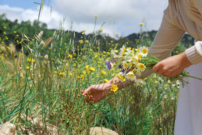 Low angle view of flowering plants on field