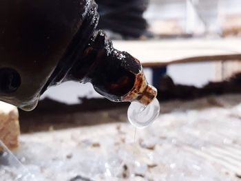 Close-up of water drops on glass bottle