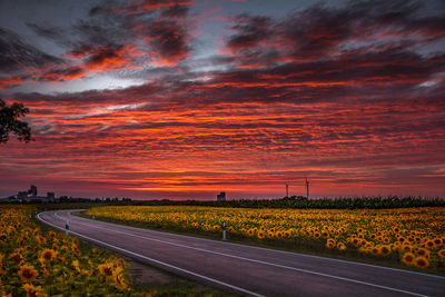 Scenic view of field against sky during sunset