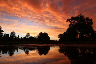 reflection