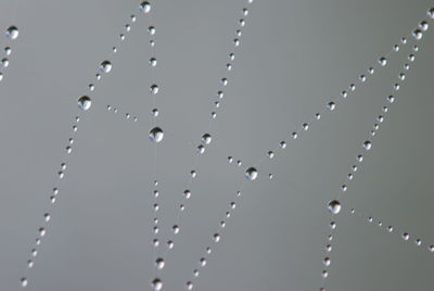 Low angle view of spider web against blurred background