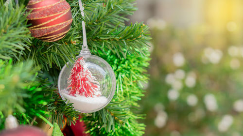 Close-up of christmas decorations hanging on tree