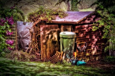 Plant growing in the background