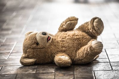 Close-up of teddy bear on floor