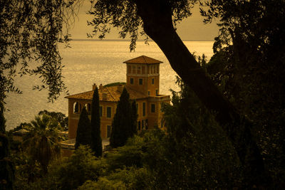 Trees and tower against sky at sunset