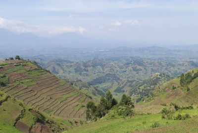 Scenic view of agricultural landscape against sky