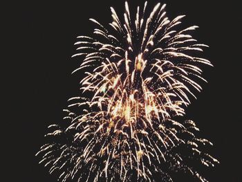 Low angle view of firework display at night