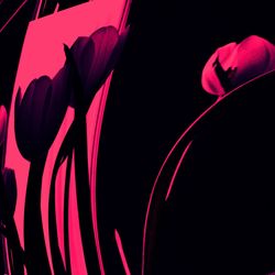 Close-up of light bulb against black background