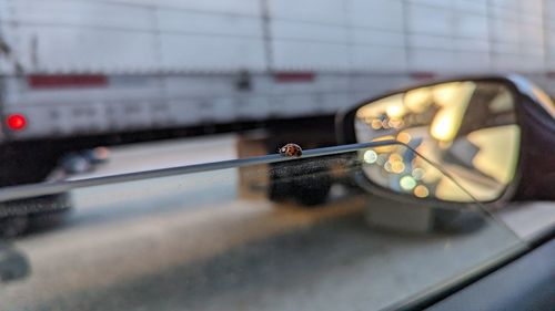 Close-up of car