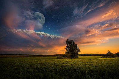 Scenic view of field against sky during sunset