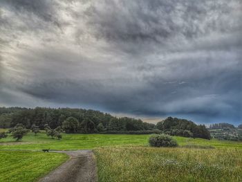 Scenic view of field against sky