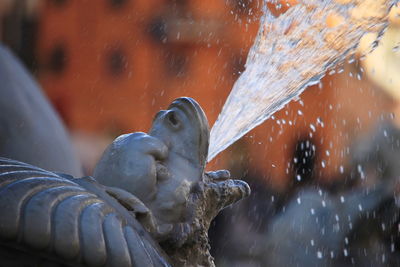 Close-up of statue against fountain