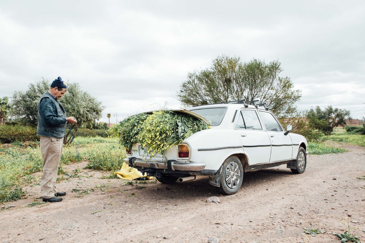 car, mode of transportation, land vehicle, motor vehicle, transportation, full length, one person, day, real people, tree, plant, sky, standing, nature, cloud - sky, lifestyles, men, casual clothing, side view, outdoors