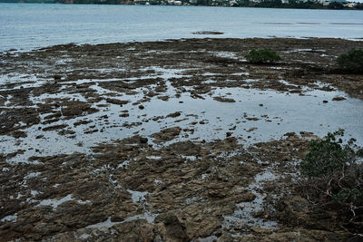 High angle view of rocks on beach