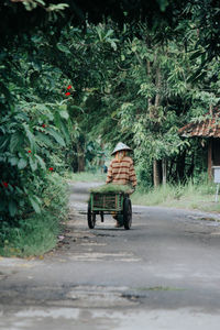 A farmer on the street