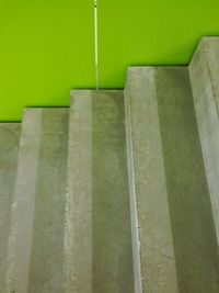 Close-up of green leaf