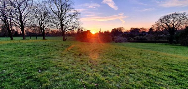 Bare trees on field against sky during sunset