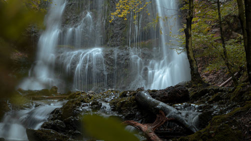 Scenic view of waterfall in forest