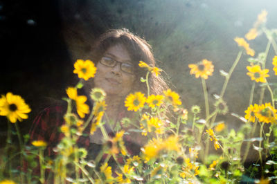 Close-up of yellow flowers blooming outdoors