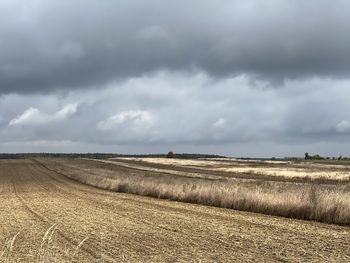 Scenic view of agricultural field against sky