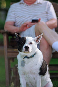 Low section of man with puppy sitting outdoors