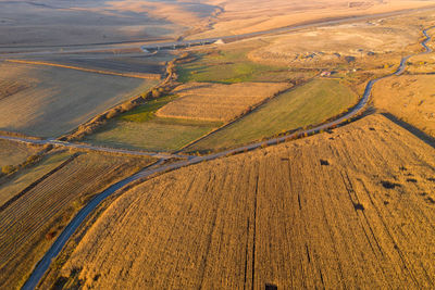 High angle view of agricultural field