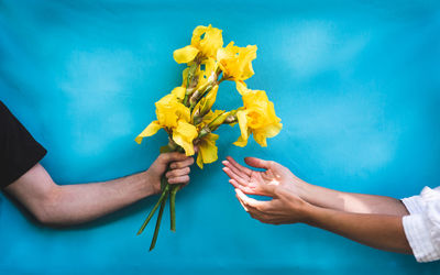 Young man giving yellow flower to woman with turquoise background