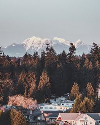 Houses by trees against sky during autumn