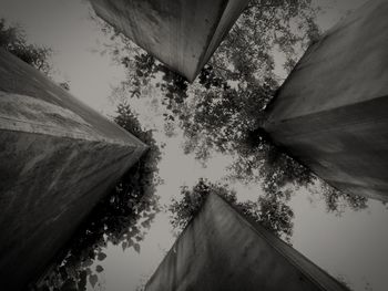 Low angle view of trees against the sky