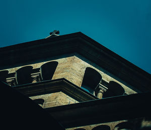 Low angle view of bird perching on building