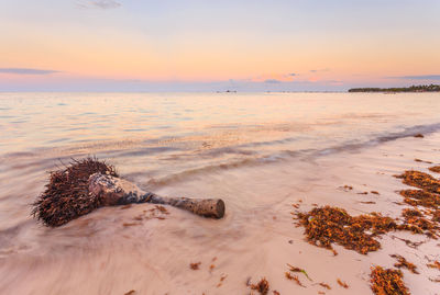 Scenic view of sea against sky at sunset