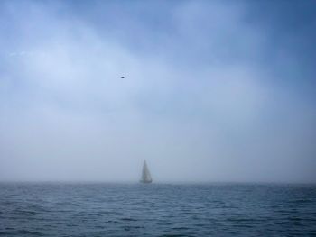 View of sailboat in sea against sky