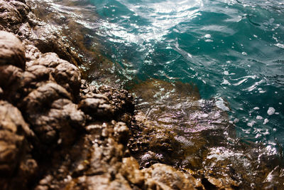 High angle view of rocks in sea