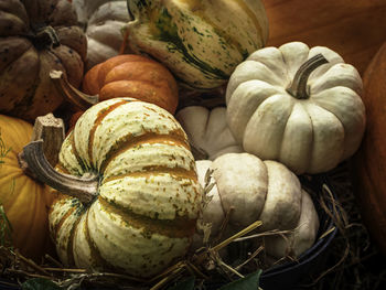 Variety of pumpkin harvest in autumn season