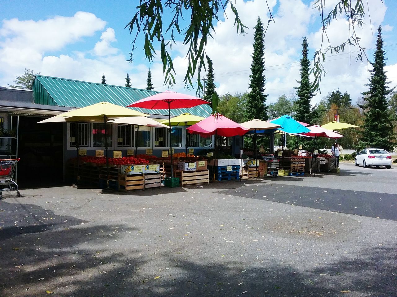 Red,blue, yellow, sun, rain, local fruit stand, on the way home with midos.