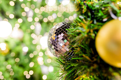 Close-up of illuminated christmas tree