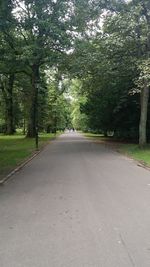 Empty road along trees